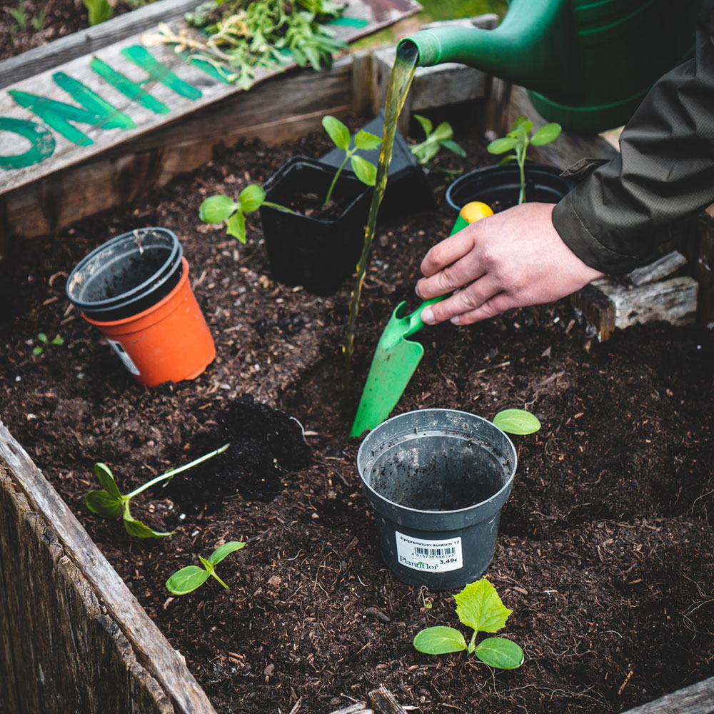 Kids-spring-gardening-activities-FEATURE-1